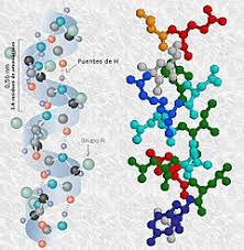 Biomoléculas